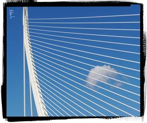 Il ponte di Calatrava 3